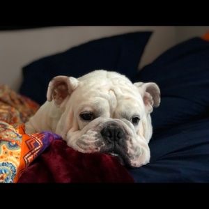 Meet your Posher, Marie